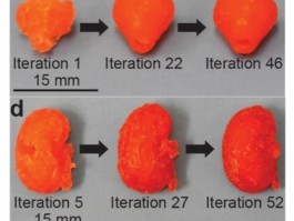 Researchers Optimize 3D Printing for Complex Designs With “Self-Improving” AI